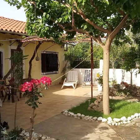 Panos And Chrisas House Villa Drepano  Ngoại thất bức ảnh