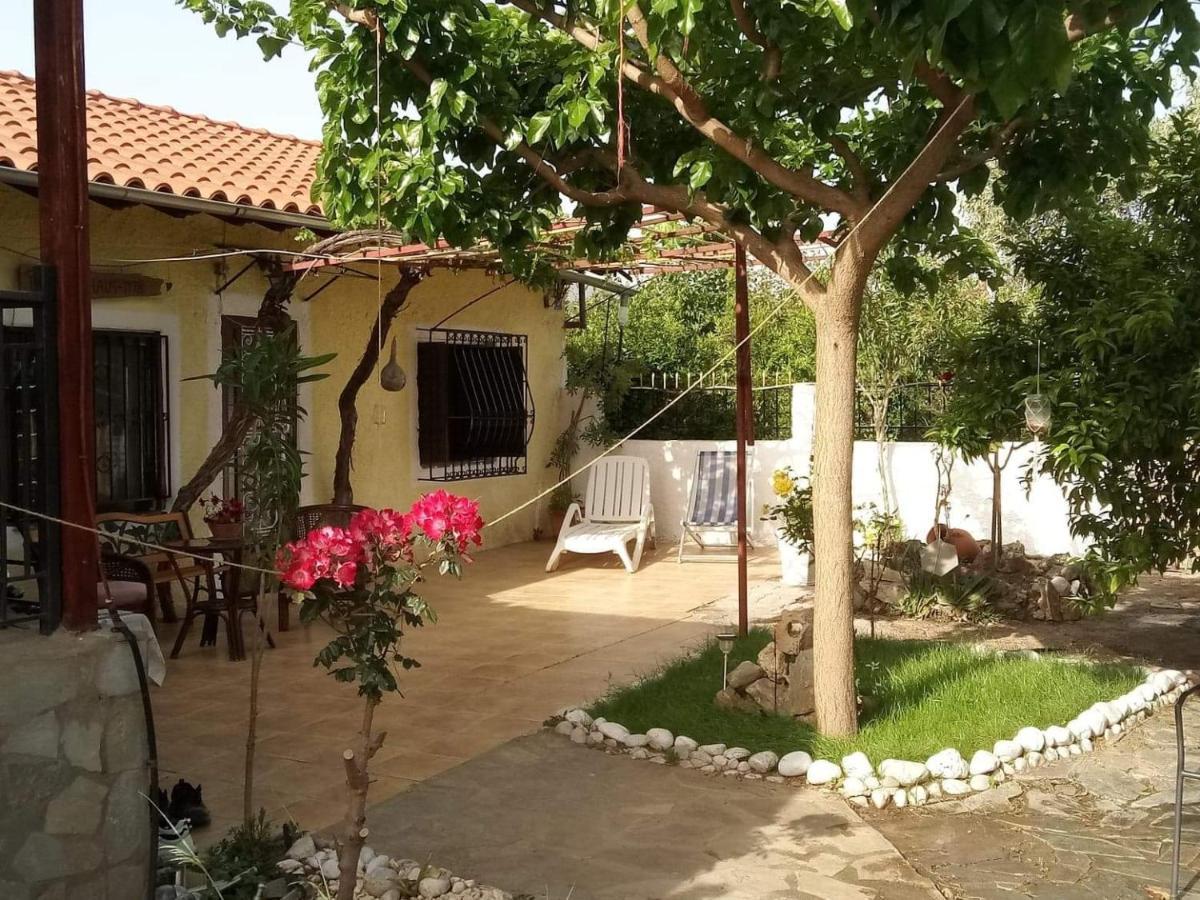 Panos And Chrisas House Villa Drepano  Ngoại thất bức ảnh