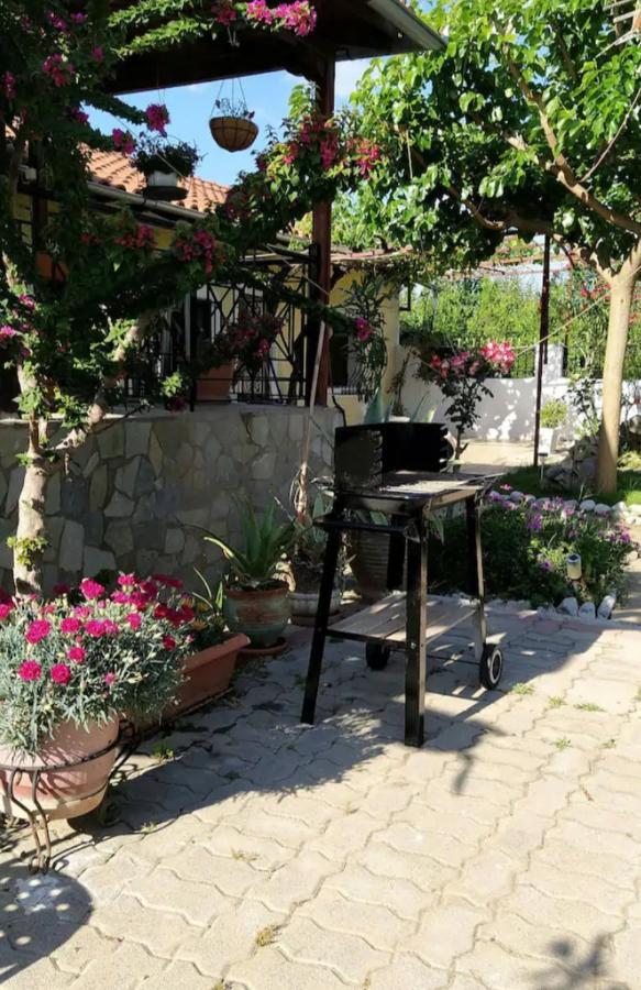 Panos And Chrisas House Villa Drepano  Ngoại thất bức ảnh