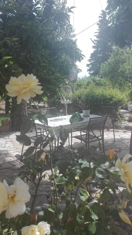 Panos And Chrisas House Villa Drepano  Ngoại thất bức ảnh