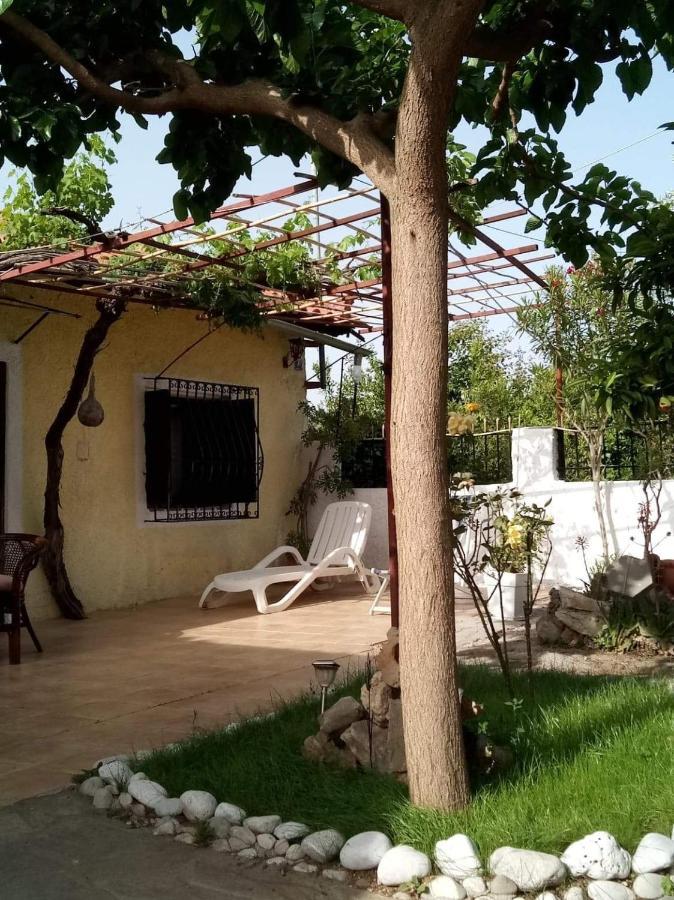 Panos And Chrisas House Villa Drepano  Ngoại thất bức ảnh