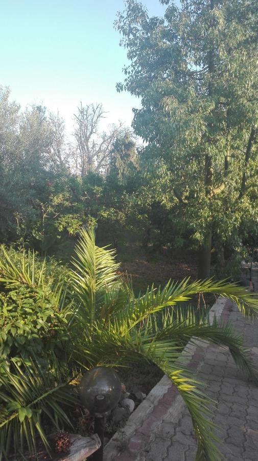 Panos And Chrisas House Villa Drepano  Ngoại thất bức ảnh