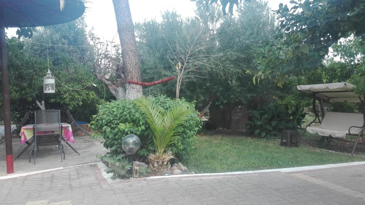 Panos And Chrisas House Villa Drepano  Ngoại thất bức ảnh