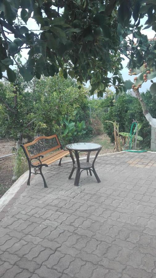 Panos And Chrisas House Villa Drepano  Ngoại thất bức ảnh