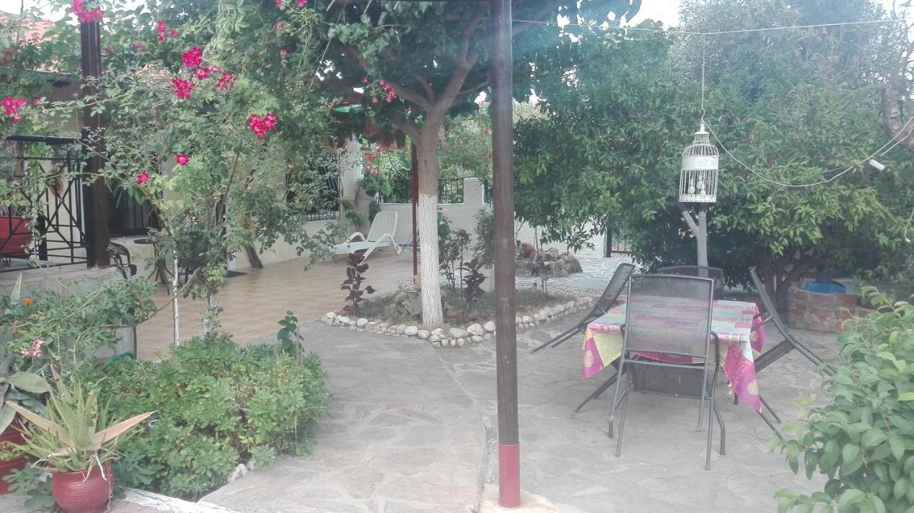 Panos And Chrisas House Villa Drepano  Ngoại thất bức ảnh